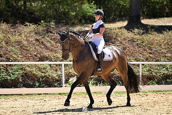 Esco_Stadl_08-2026.jpg  