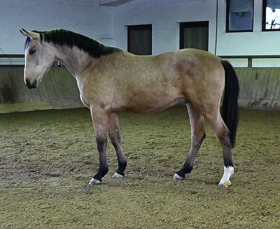 DSC_7461.jpg  