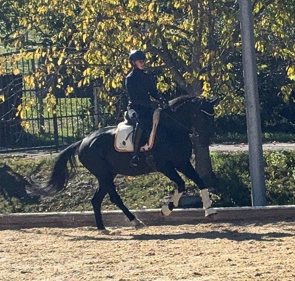 Bonni_Wels_Training.jpg  